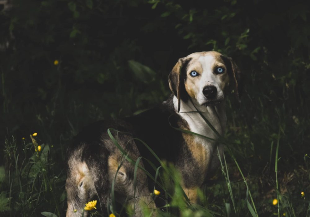 fbc80464-38b6-4416-b68f-90d9fef60423